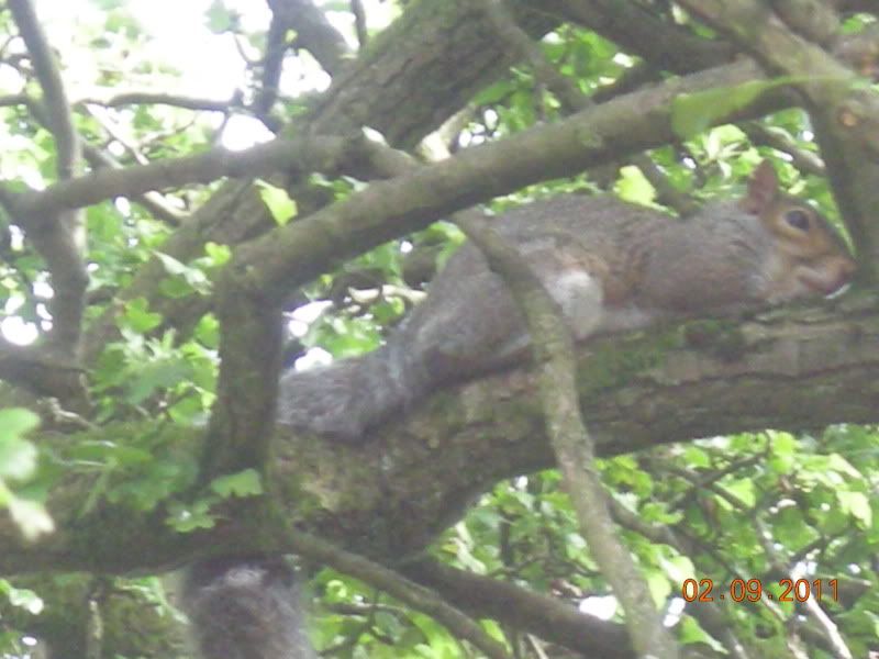DSCN4624.jpg