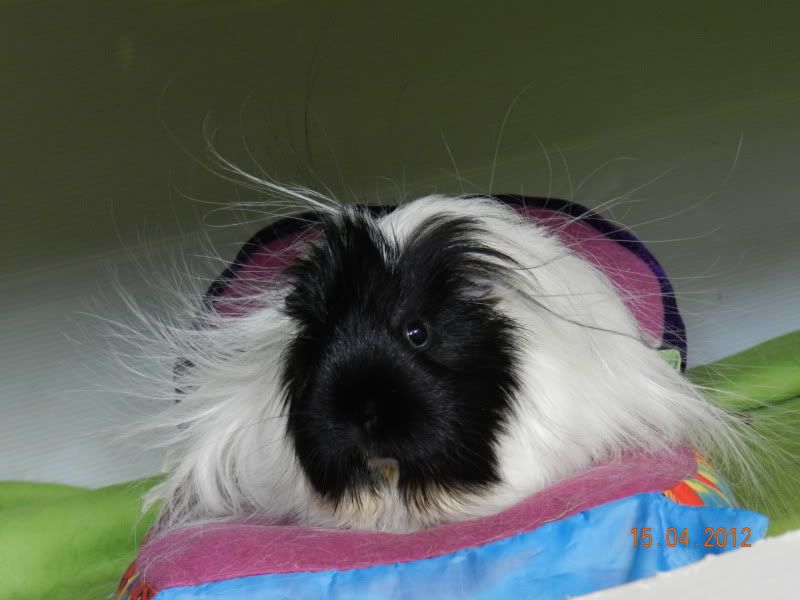 DSCN0366.jpg