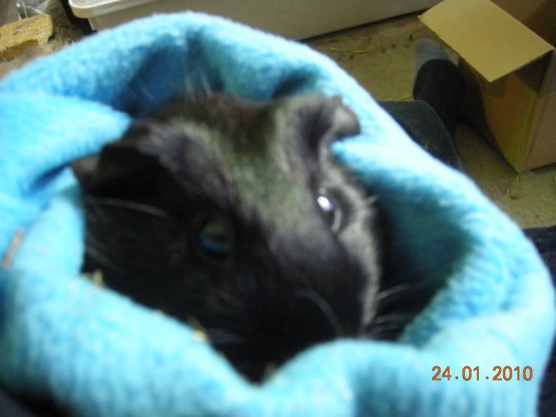 DSCN2779.jpg