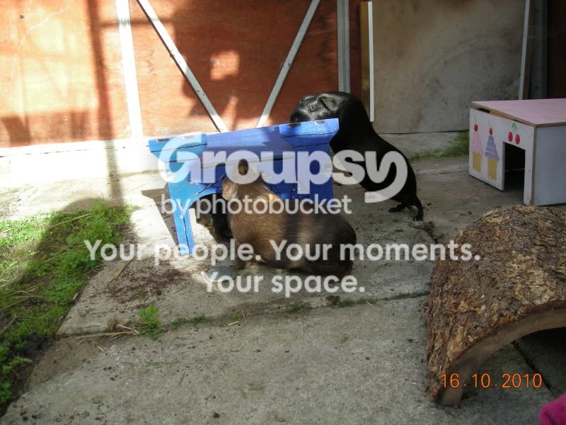 DSCN3904.jpg