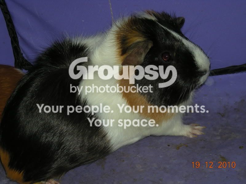 DSCN4012.jpg