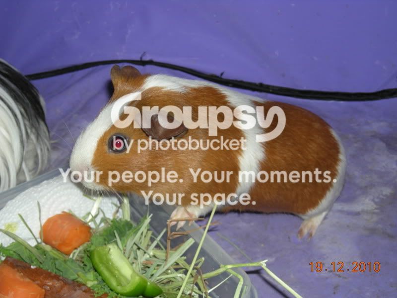 DSCN4015.jpg