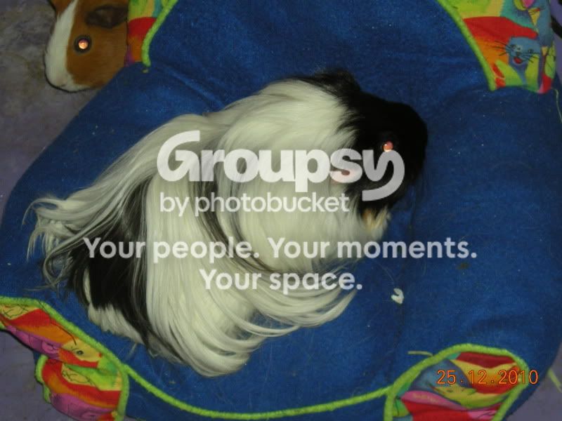 DSCN4068.jpg