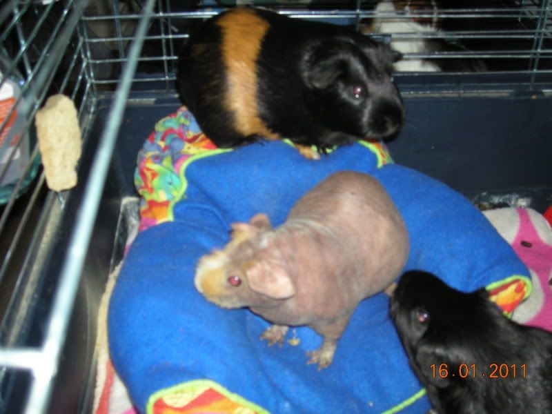 DSCN4097.jpg