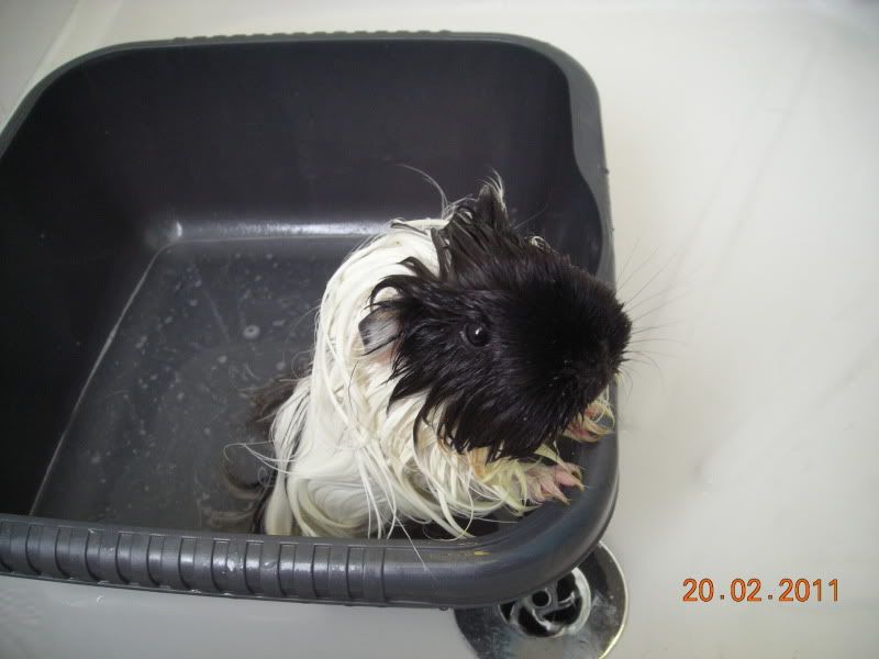 DSCN4174.jpg