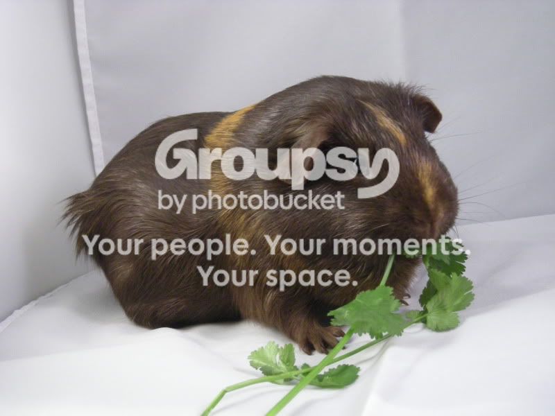 DSCN4228.jpg