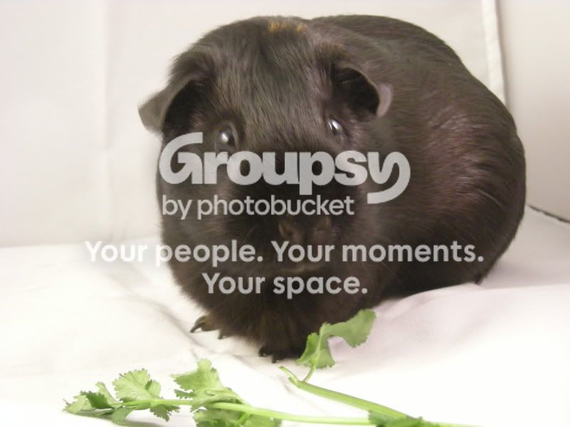 DSCN4249.jpg