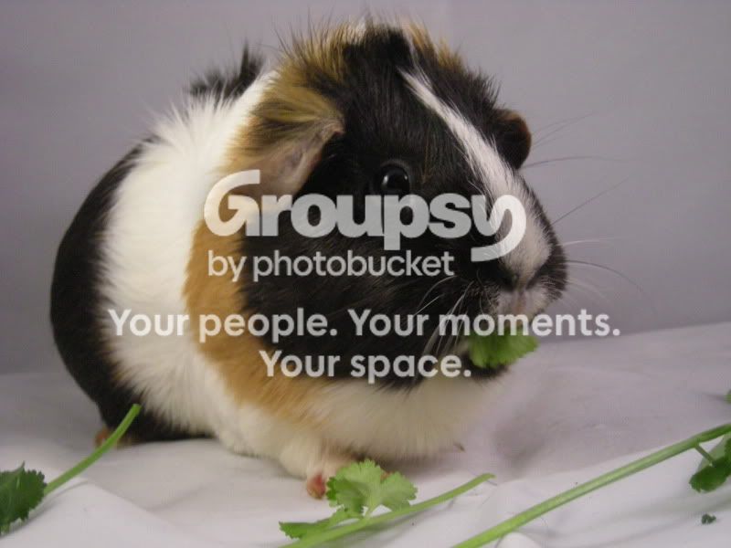 DSCN4280.jpg