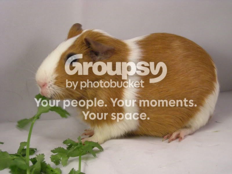 DSCN4309.jpg