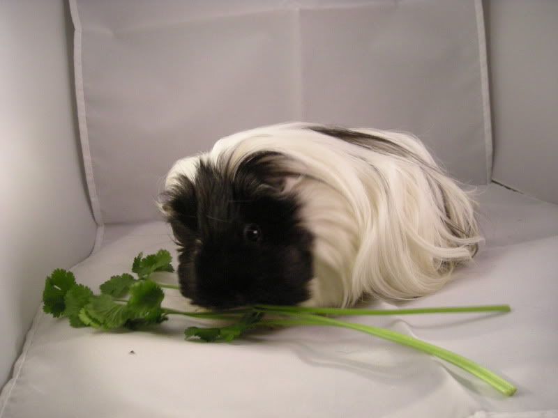 DSCN4326.jpg
