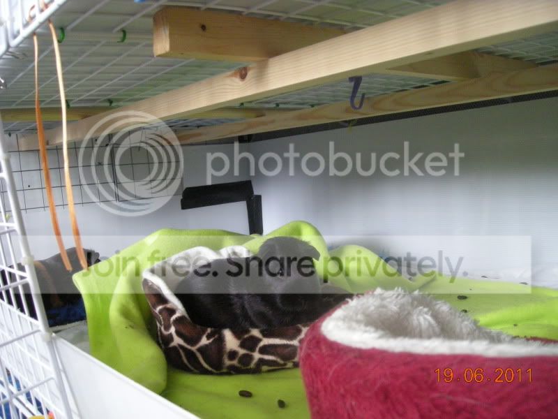 DSCN4456.jpg