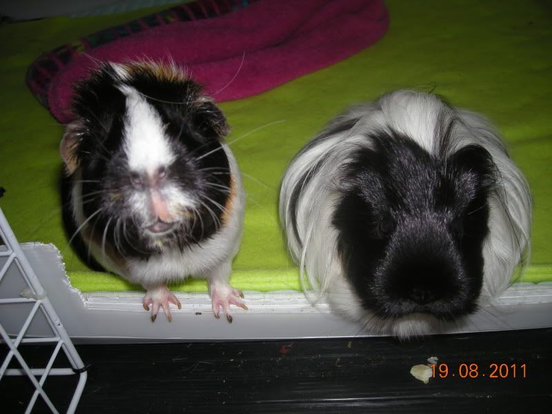 DSCN4576.jpg