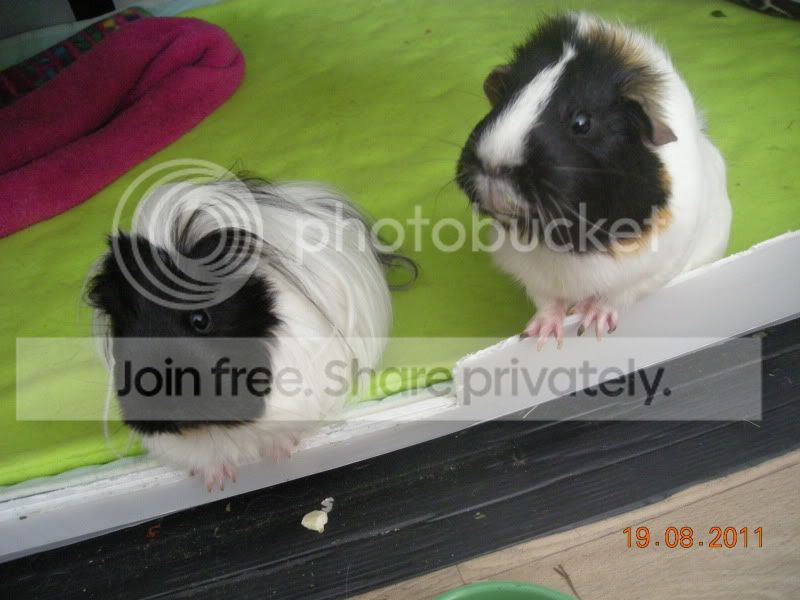 DSCN4579.jpg