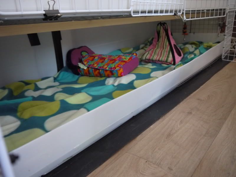 P1000042.jpg