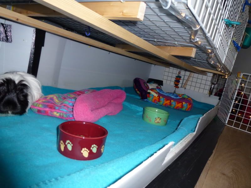 P1000105.jpg