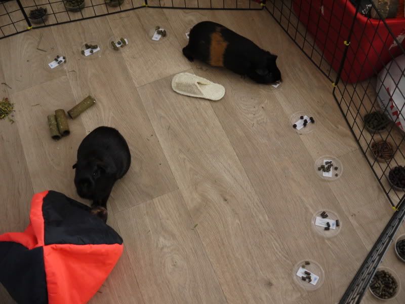 P1000201.jpg