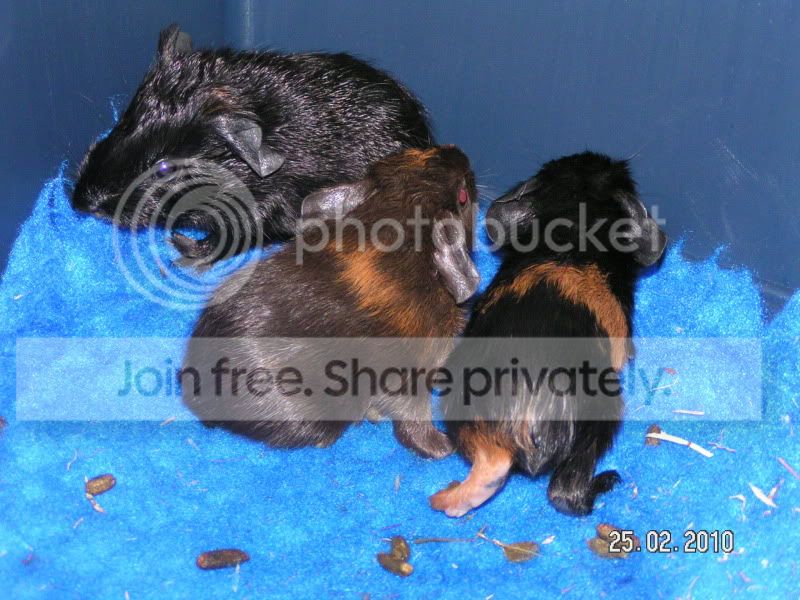 PICT0009.jpg