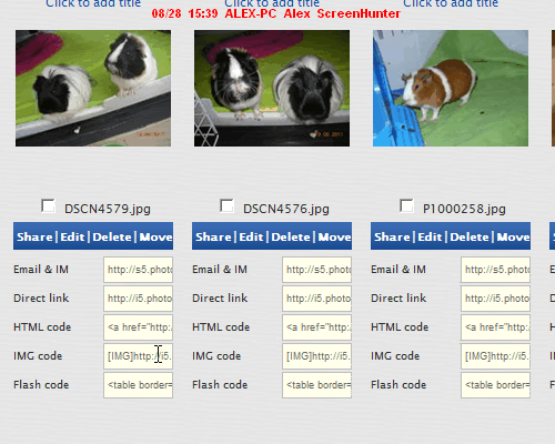 ScreenHunter_01Aug281539.gif