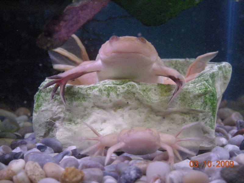 DSCN2335.jpg