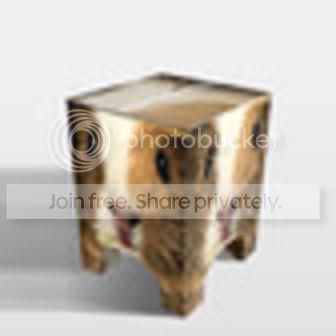 gpstool.jpg