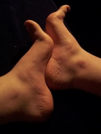 https://i5.photobucket.com/albums/y162/lemna/100_8492.jpg
