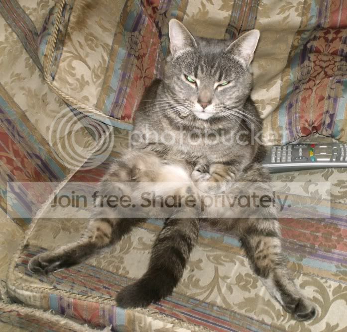 Smokeythecat.jpg