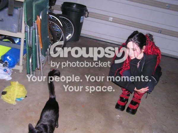 User Image
