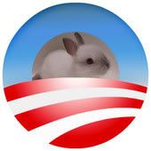 president fluffy bunny