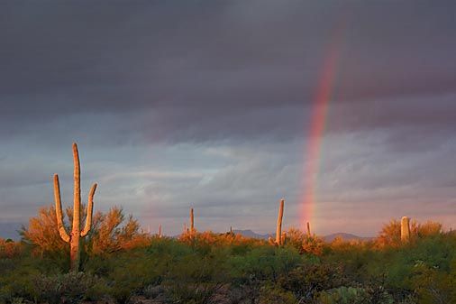 Nothing Like A Sunrise (14 Images) - Pirate's Cove » Pirate's Cove