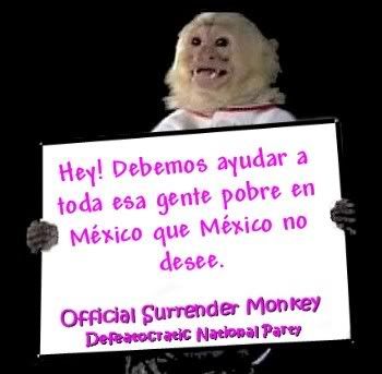 surrender monkey mexico
