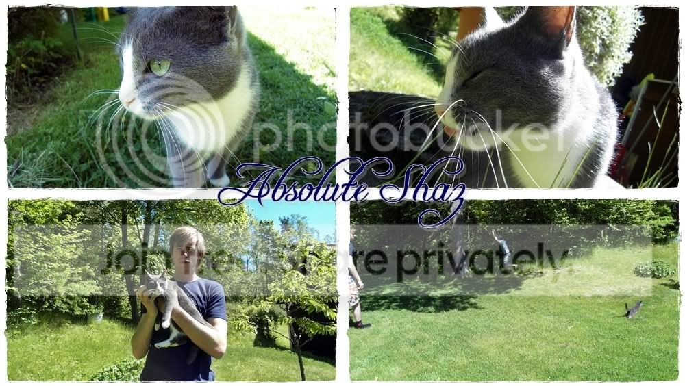Photobucket