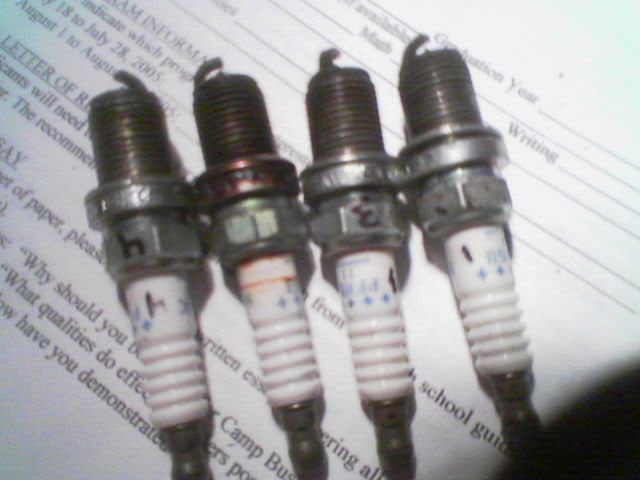 blown head gasket spark plugs