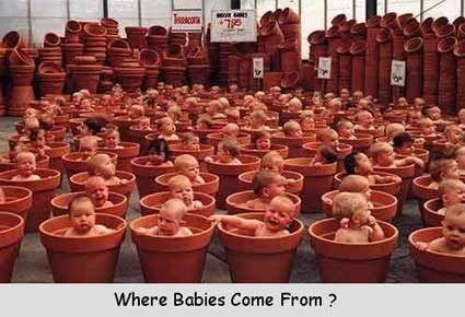 https://i5.photobucket.com/albums/y167/Mirusiems_Silumos_Nereikia/Babies/999kidsplants.jpg