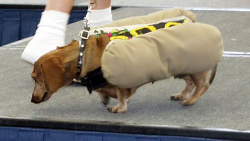 https://i5.photobucket.com/albums/y167/Mirusiems_Silumos_Nereikia/Dogs/td-hotdog_jpg.jpg
