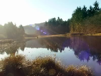 https://i5.photobucket.com/albums/y167/Mirusiems_Silumos_Nereikia/Misa/Lagoon20Creek20Klamath20CA20Morning.jpg