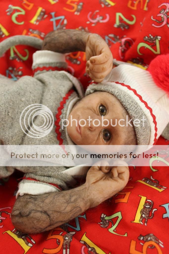 Super Cute Sock Monkey Baby OOAK Capuchin Hand Sculpted Doll by Emily Jameson