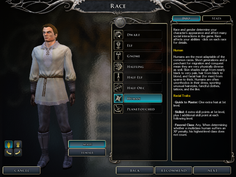 neverwinter nights enhanced edition character builder