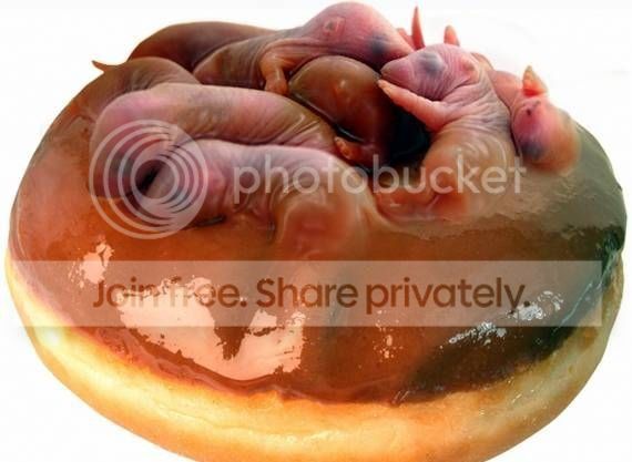 bizarre_foodz_002.jpg
