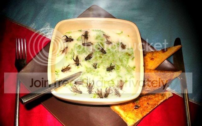 bizarre_foodz_008.jpg