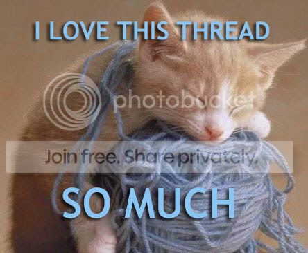 funny_cat_pictures_23.jpg