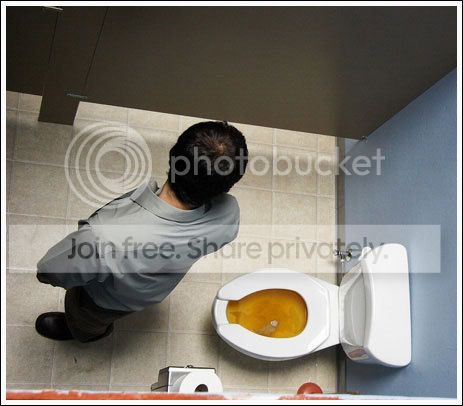 toilet_nightmare_002.jpg