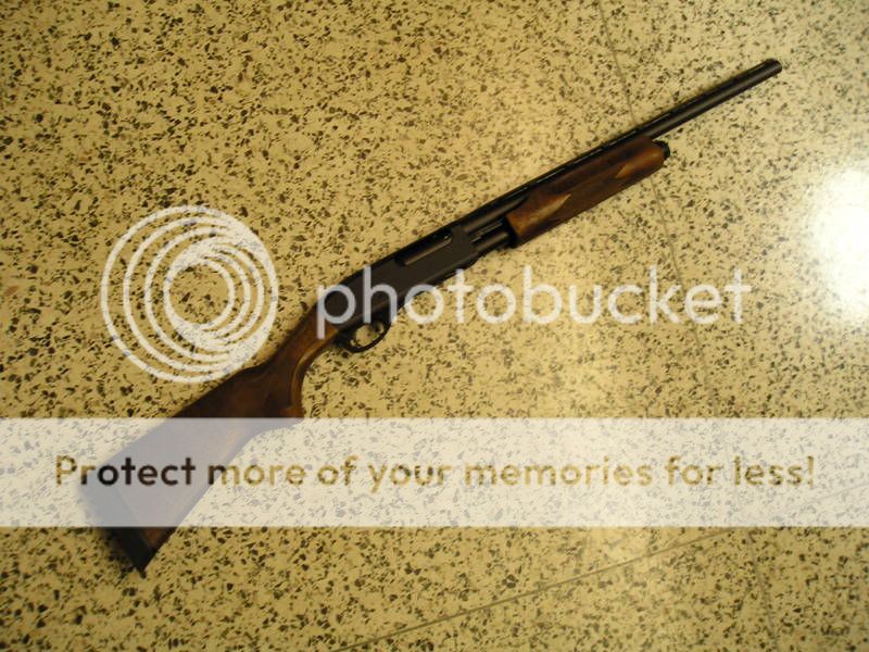 1st Shot Gun, ever | Page 2 | Rimfire Central Firearm Forum