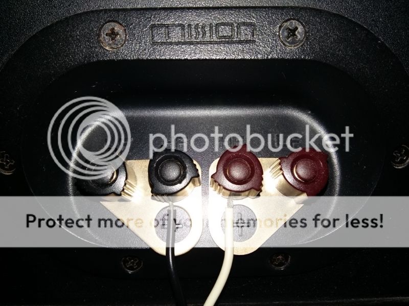 speaker20connector.jpg
