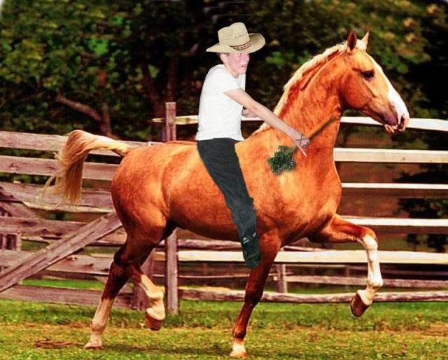 caballo.jpg