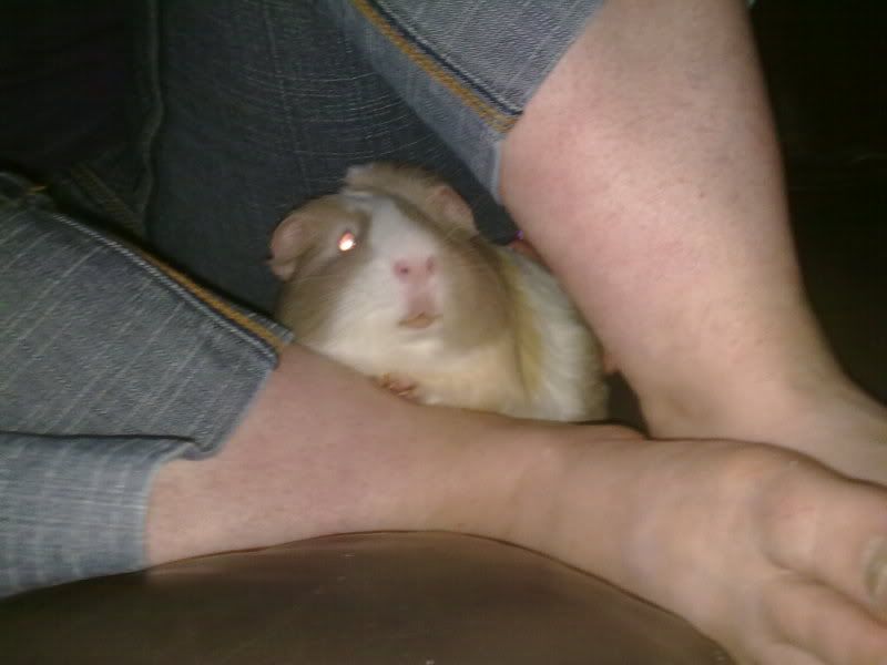 25072010326.jpg