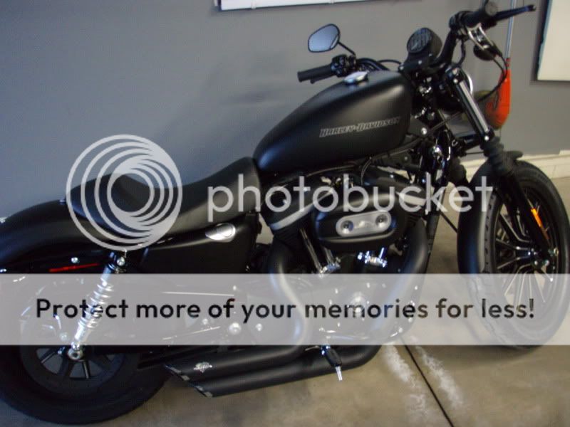 2009 Harley Davidson Iron 883 with mods - LS1TECH - Camaro and Firebird ...