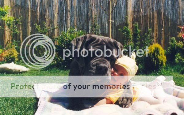 Photobucket - Video and Image Hosting