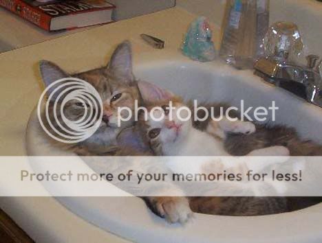 Photobucket - Video and Image Hosting