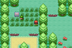 [PokeCommunity.com] Pokémon Gold GBA
