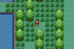 [PokeCommunity.com] Pokémon Gold GBA